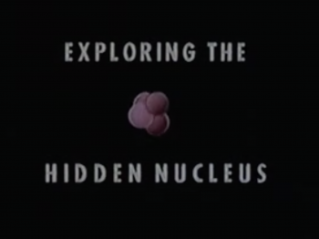 Exploring the hidden nucleus